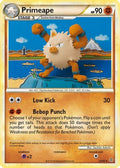 Primeape 022